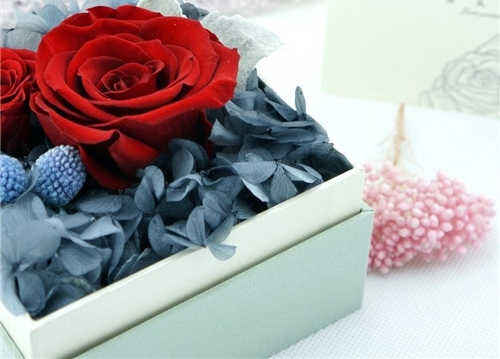 祝愿孩子阳光成长的话(精选51句) 祝愿孩子阳光成长的话(精选51句)