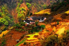 深秋落叶简单唯美句子(精选51句)