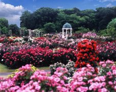 吸引女生又很撩人的一句话(45句)