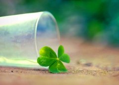 疫情终究会过去的句子(精选37句)