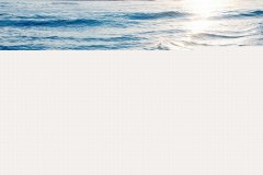 面对困难迎难而上的句子(37句)