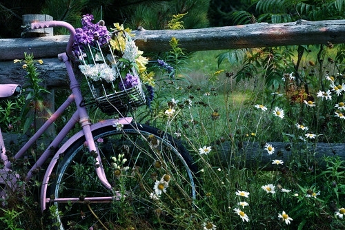 回头看看自己走过的路的句子(精选40句)