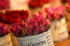 阳光信用每日一善文案(精选48句)