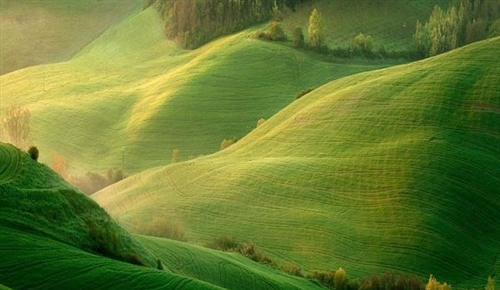 第一眼就心动的文案句子短句(51句) 第一眼就心动的文案句子短句(51句)