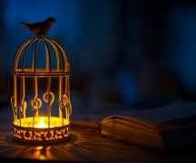 最适合女人稳重和优雅的网名(精选79个)