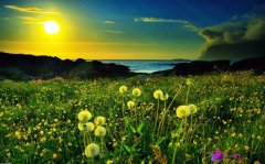 女人头疼难受的说说(精选46句)