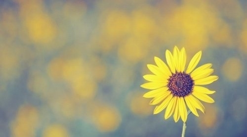 难懂又有深意的网名(精选84个)