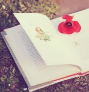 好听不俗的网名四个字(69句)