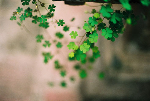 有格局的男人微信名字四个字(87句)