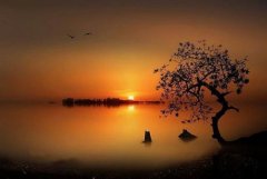 不羡慕不嫉妒不攀比做好自己的说说(精选38句)