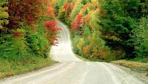 喜欢安静的简短唯美句子(精选50句) 喜欢安静的简短唯美句子(精选50句)