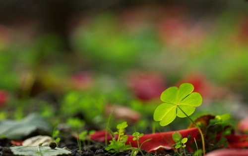 招聘人才的创意句子(精选45句)