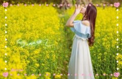 把生活过精致一句话(37句)