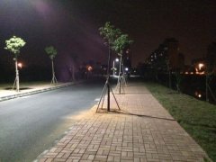 晚上散步的说说(49句)