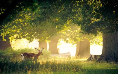 网名有内涵有深度二字女生(精选78个)