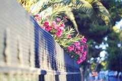 有文采最有意境的网名(精选73个)