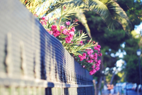 有文采最有意境的网名(精选73个) 有文采最有意境的网名(精选73个)