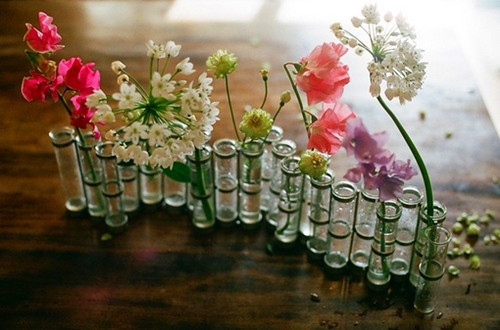 适合长期不换的网名二字女(精选74个)