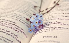 带娃的妈妈不敢生病的说说(44句)