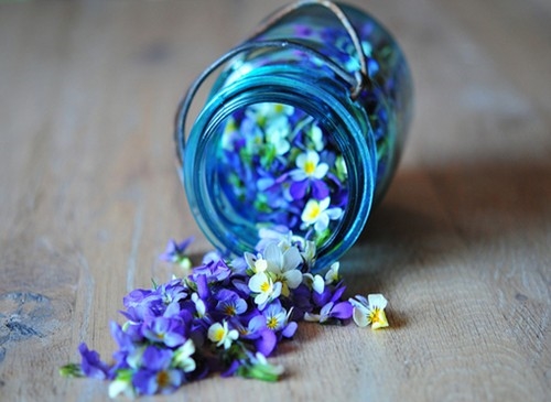 2023激励自己的网名(精选69个)