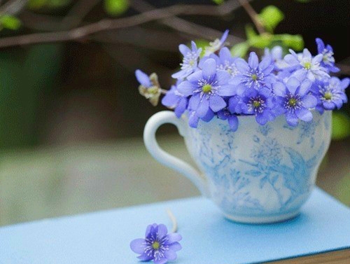 网名大全2022最新版男生成熟(85句) 网名大全2022最新版男生成熟(85句)