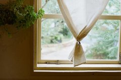 望着窗外感慨说说(精选55句)