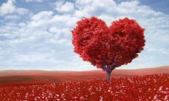 女婿祝丈人生日祝福语(精选30句)