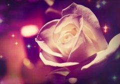 女生适合的高冷昵称两个字(精选68个)