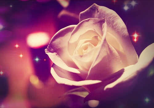 女生适合的高冷昵称两个字(精选68个)