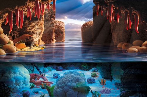 关于生活感悟的文案(53句) 关于生活感悟的文案(53句)