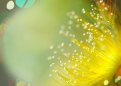 2023年最流行的昵称(精选82个)