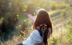 世界杯文案怎么写(51句)