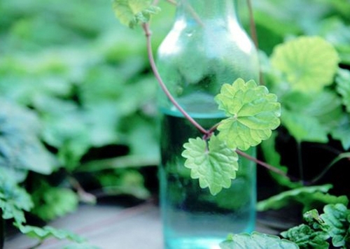 2023最好听的网名男生