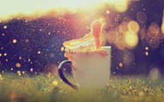 可以发朋友圈的疫情句子(精选55句)