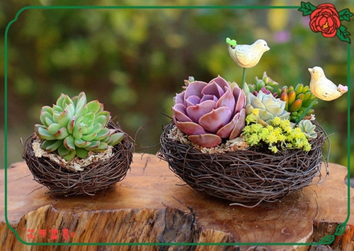 句句精辟的正能量早安句子(精选57句)