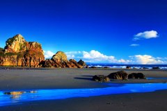 疫情无奈的心酸句子(精选53句)