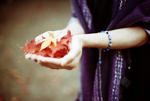 奶凶奶凶可爱网名二字(精选54个)