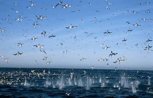 战胜疫情迎接美好的句子(48句) 战胜疫情迎接美好的句子(48句)