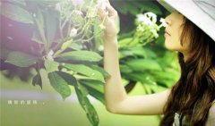 客户认可和信任的句子(44句)