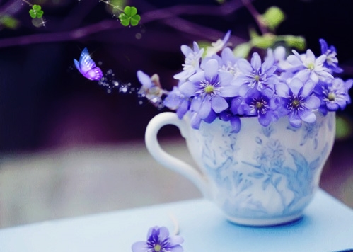 早起的鸟儿有虫吃说说发朋友圈(34句) 早起的鸟儿有虫吃说说发朋友圈(34句)