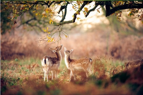 祝孩子未来可期的句子(精选46句)