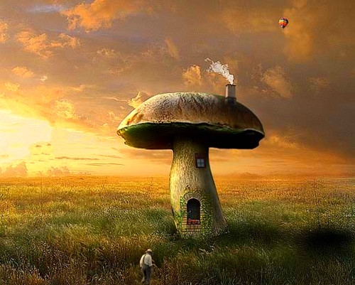 烟花爆竹注意安全标语怎么写(53句)