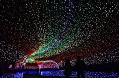 不要对任何人有所期待的句子(47句)