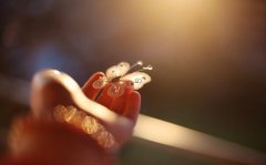 生病了才知道谁最关心你的说说(精选46句)