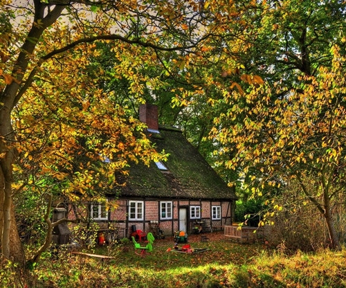 气质一点带娜字的网名(精选46个)