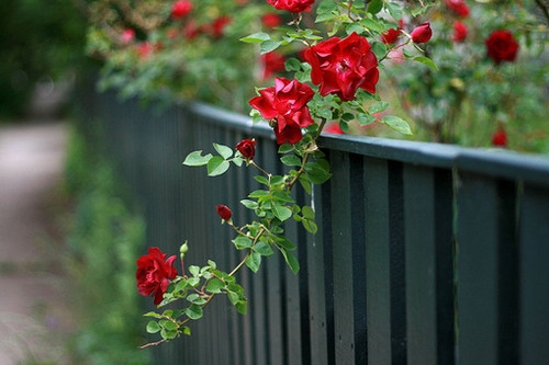 2022最火四个字网名男(精选78个)