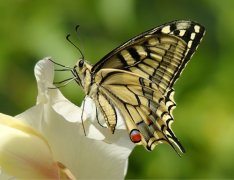 女人一看就约的男人网名(58个)