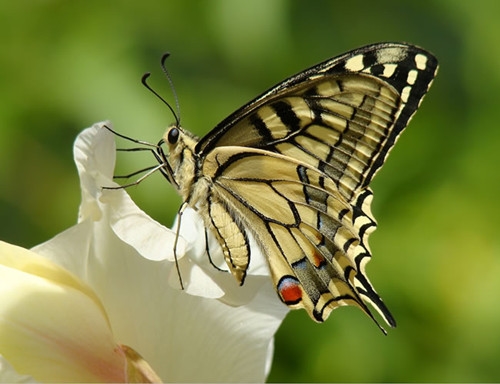 女人一看就约的男人网名(58个) 女人一看就约的男人网名(58个)