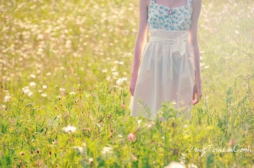 2023抖音火爆昵称带梅字(精选79个)