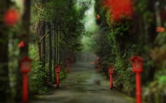 对过年没有感觉的说说(54句)